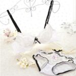 Romantic Intimate Brassiere Sets