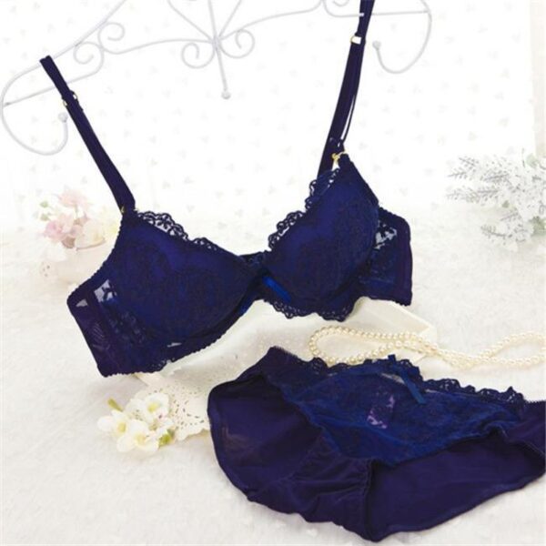 Romantic Intimate Brassiere Sets